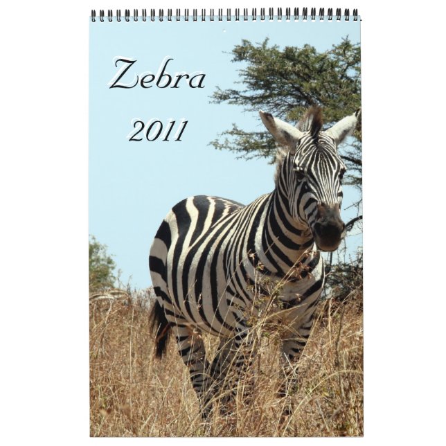 zebra 2011 single page calendar (Cover)