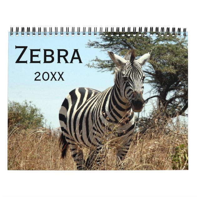 Zebra 2024 Calendar Zazzle   Zebra 2024 Calendar Rd842b852142d47f0bfb3eac9f7c58389 Semym 8byvr 630 