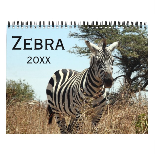 Zebra 2025 Calendar Zazzle Zebra 2025 Calendar A24e4a 8byvr 630 