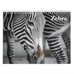 Zebra 2027 calendar