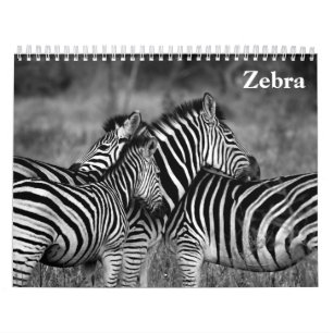 zebra 2027 calendar