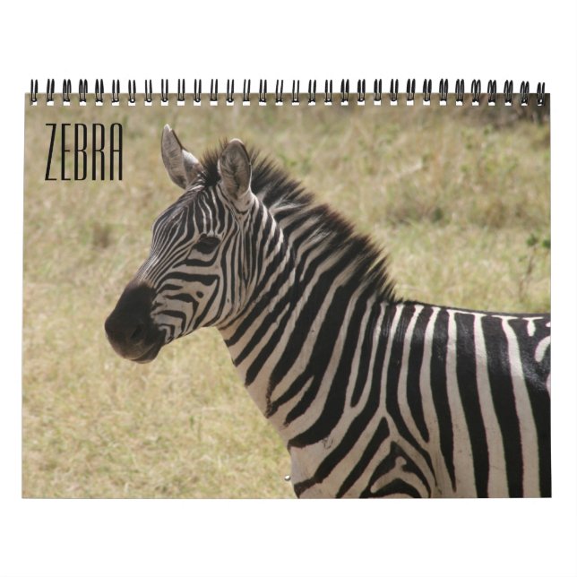 zebra 2027 calendar (Cover)