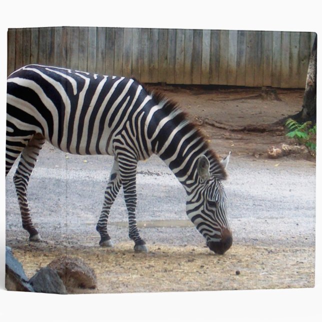 Zebra 3 Ring Binder (Front/Spine)