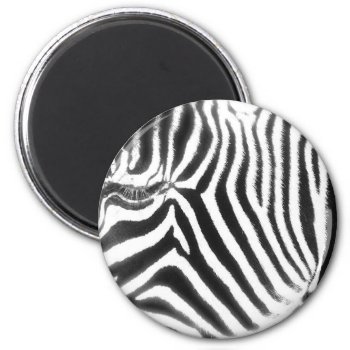 Zebra Abstract Magnet by pulsDesign at Zazzle