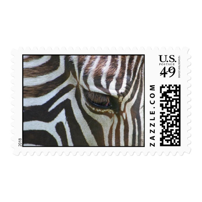 Zebra Abstract Postage Stamp