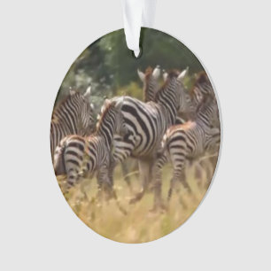zebra acrylic circle ornament