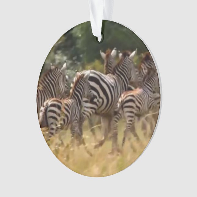 zebra acrylic circle ornament (Front)