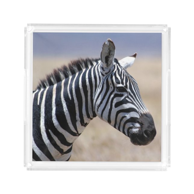 Zebra Acrylic Tray (Front)