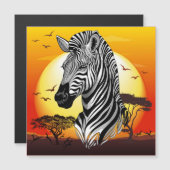 Zebra African Savanna Wild Animal (Front/Back)