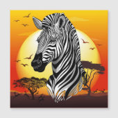 Zebra African Savanna Wild Animal (Front)