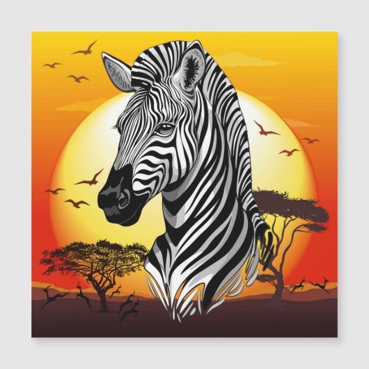 Zebra African Savanna Wild Animal (Front)