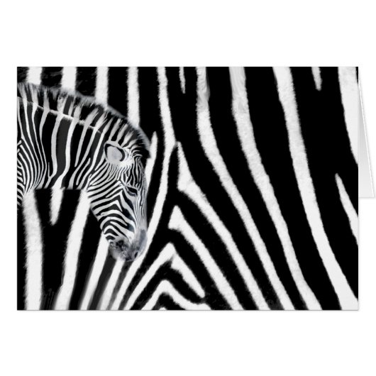 Zebra and it's stripe cards (Front Horizontal)