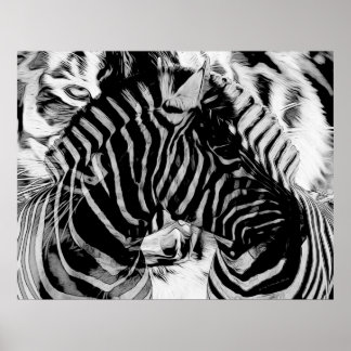 Zebra and Tiger Stripes Poster