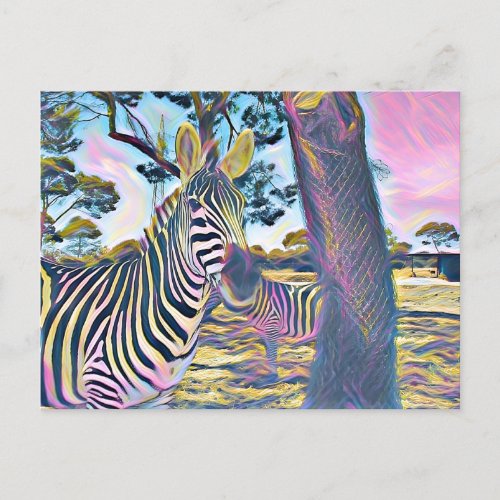 Zebra animal beautiful color postcard