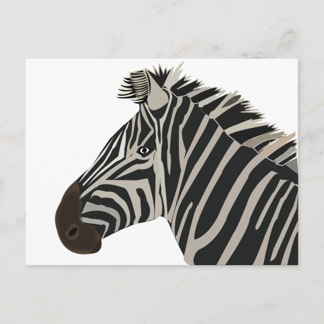 Zebra Animal  Postcard (Front)