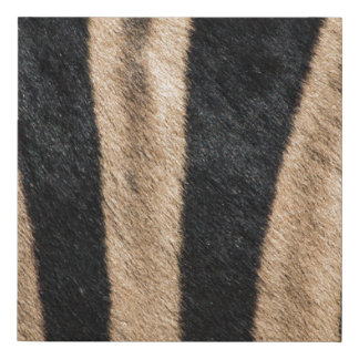 ZEBRA ANIMAL PRINT STRIPE