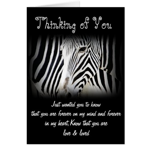 Zebra_ Any Occasions_ Cards (Front)
