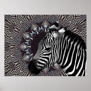 Zebra Art Poster