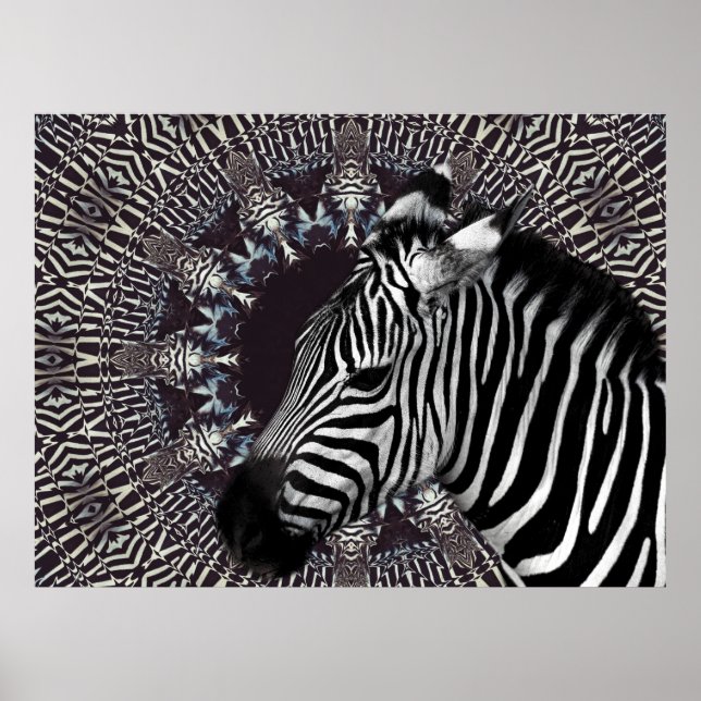 Zebra Art Poster (Front)