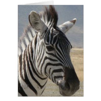 Zebra baby cards