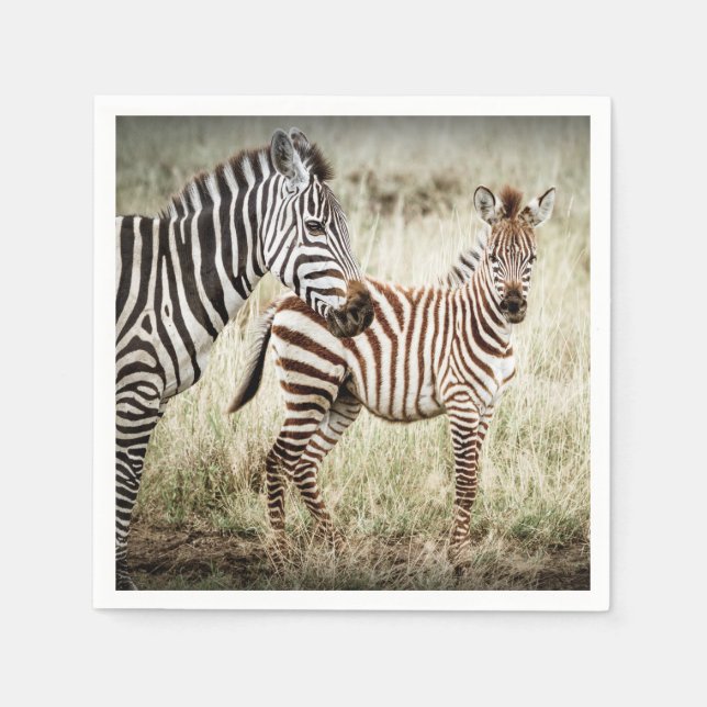 Zebra & Baby Napkins (Front)