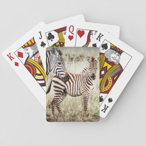 Zebra  Baby Playing Cards
