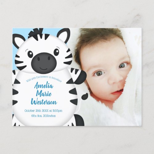 Zebra Baby Shower Blue Postcard