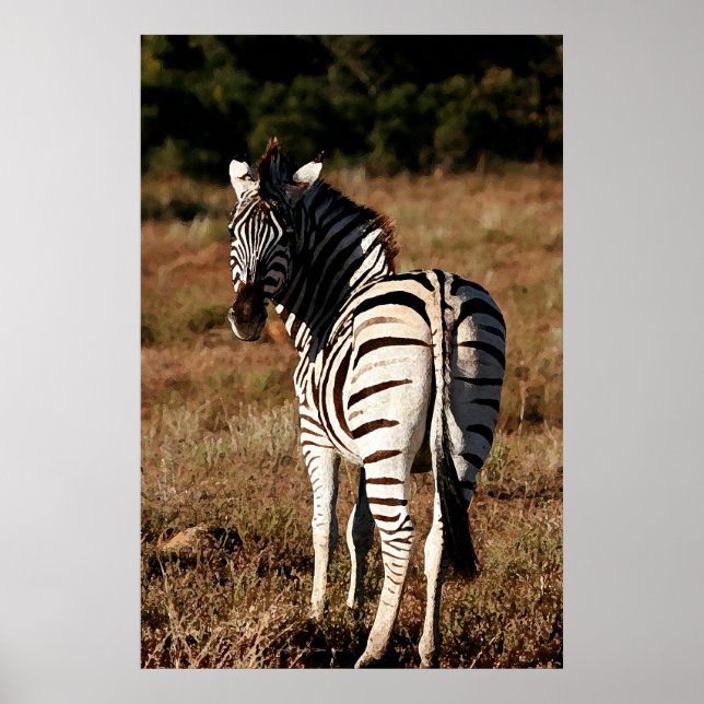 Zebra behind painting poster (Front)