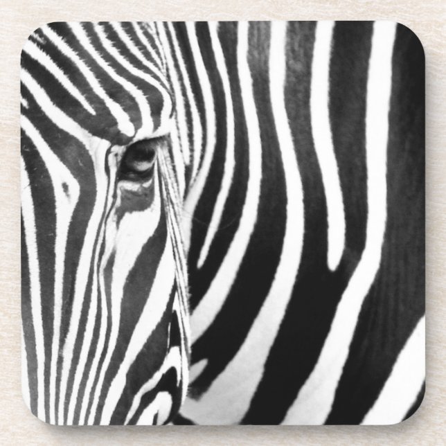 zebra beverage coaster (Front)