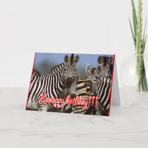 zebra birthday card