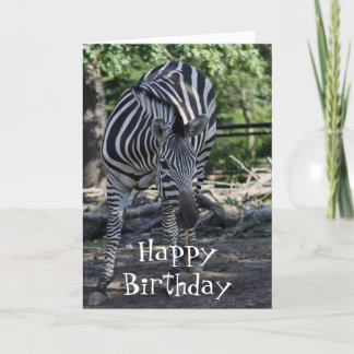 zebra Birthday Card