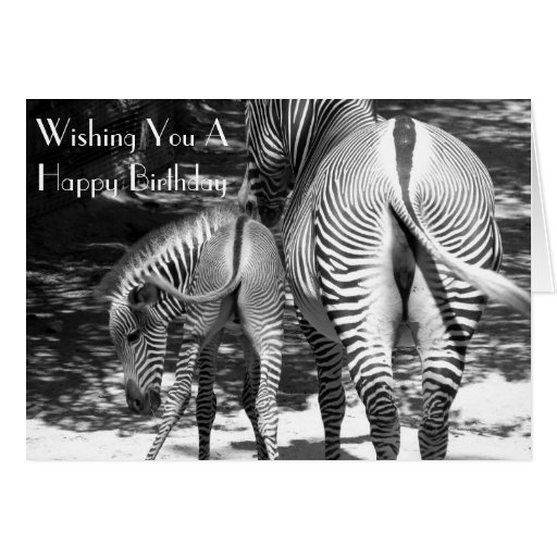 Elegant 20 Zebra Birthday Card