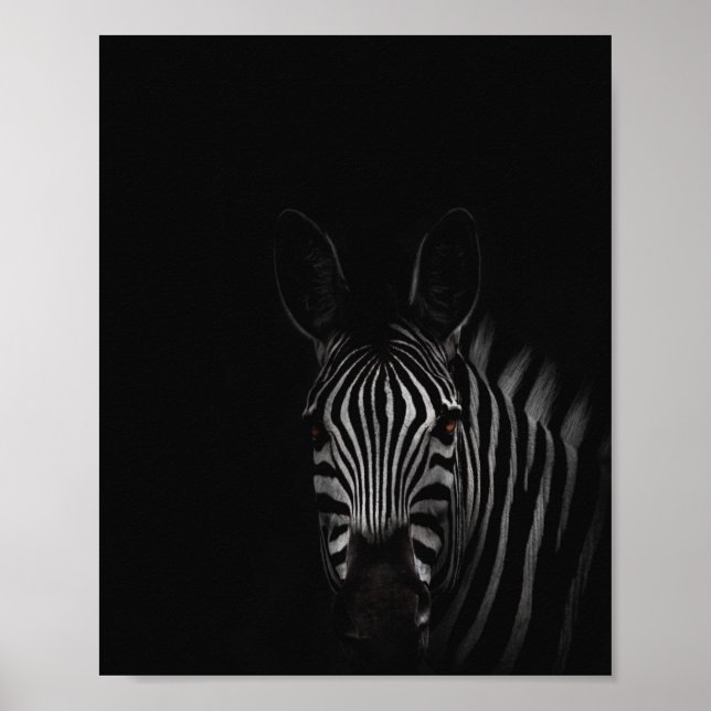 Zebra, black and white photograph poster (Front)