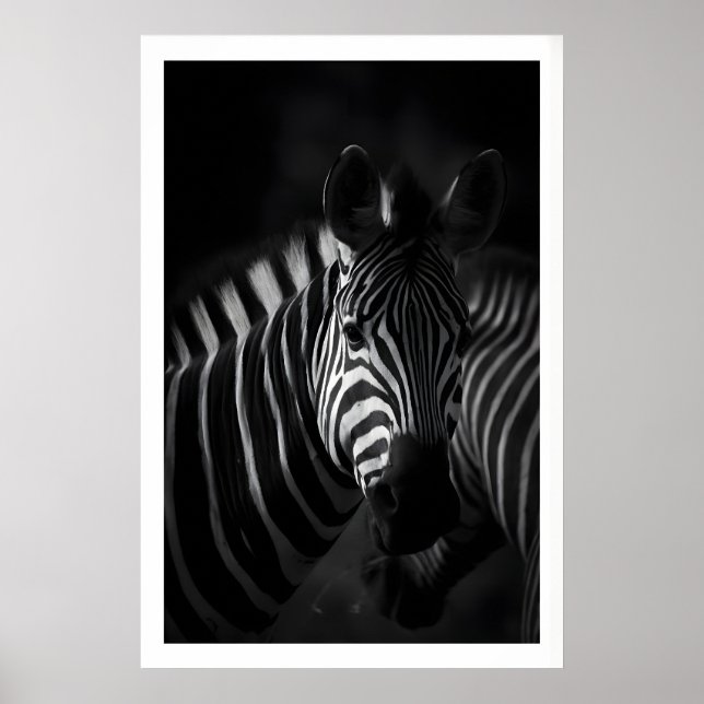 Zebra Black and White Print, Close-Up Portrait Poster (Front)