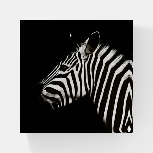 Zebra Black and White Stripes Animal Paperweight
