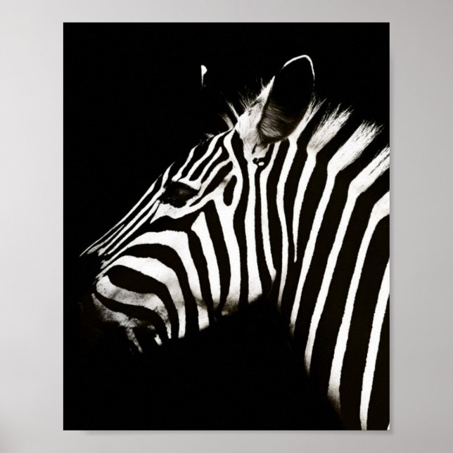 Zebra Black and White Stripes Animal Poster (Front)