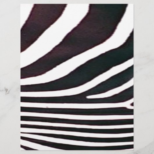 Zebra Black and White Stripes Print (Front)