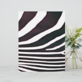 Zebra Black and White Stripes Print (Standing Front)