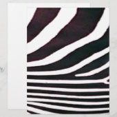 Zebra Black and White Stripes Print (Front/Back)