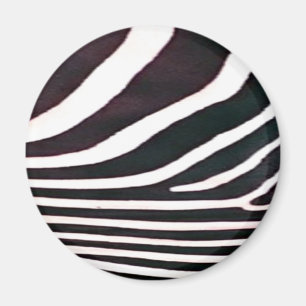 Zebra Black and White Stripes Print Magnet