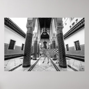 Zebra Black White Building Landscape Poster