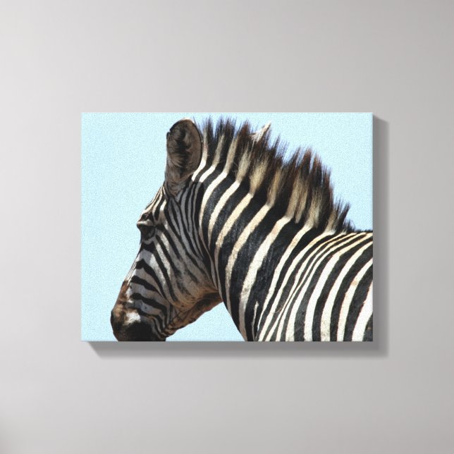 zebra blue canvas print (Front)