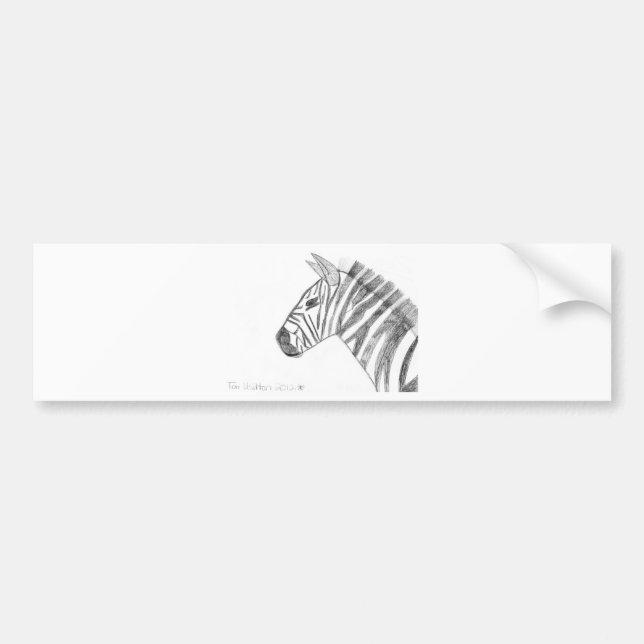 Zebra Bumper Sticker (Front)
