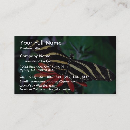 Zebra butterfly on Mexican flaming vine flower Business Card Template