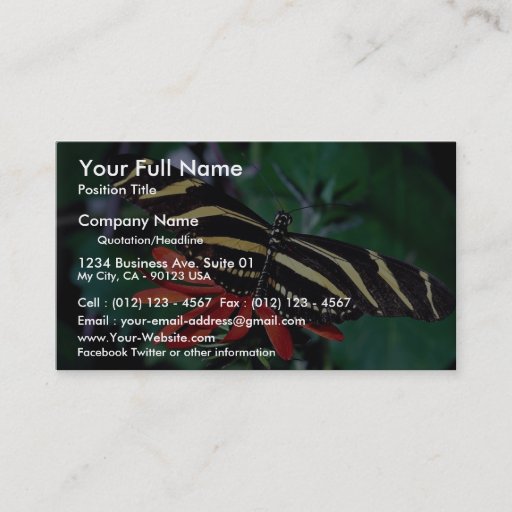 Customizable Zebra butterfly on Mexican flaming vine flower Business Card Template