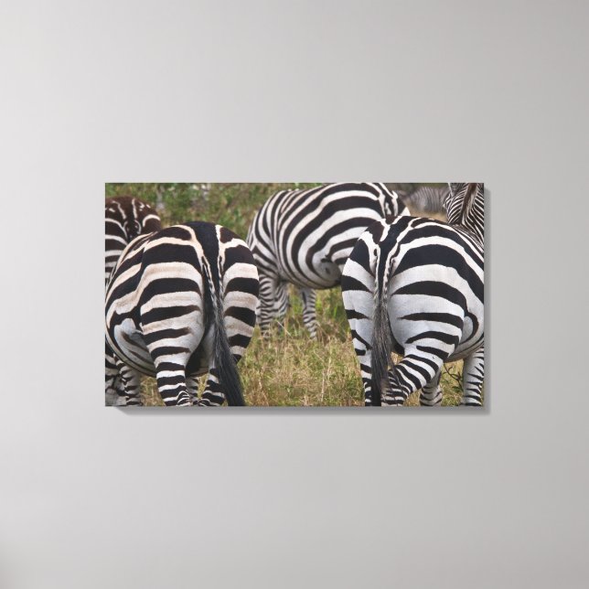 Zebra Butts Canvas Art Print (Front)