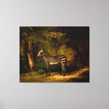 Zebra By George Stubbs (1763) Canvas Print by TheArts at Zazzle