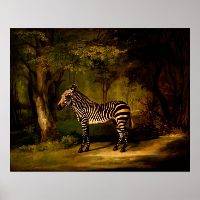 Zebra by George Stubbs (1763) Poster (Front)