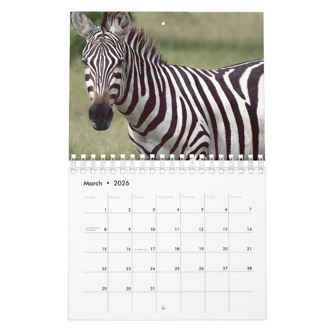 Zebra Calendar (Mar 2026)