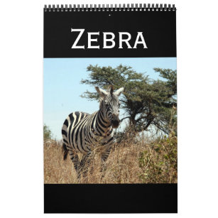 Zebra Calendars | Zazzle